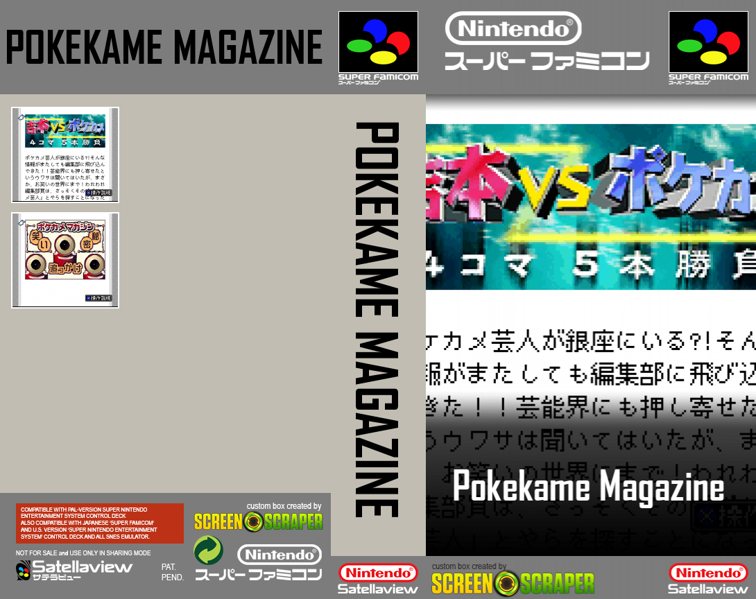 Pokekame Magazine — box-texture (SS)