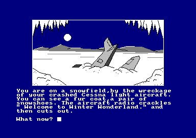Winter Wonderland — ss (EU)