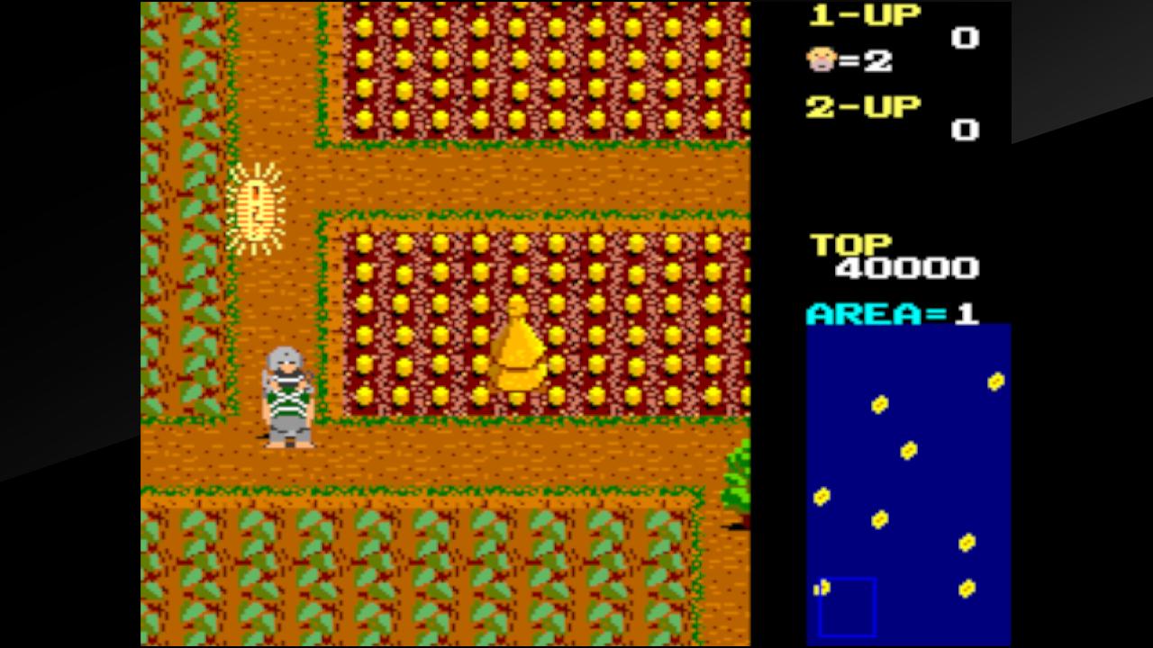 Arcade Archives Ikki — ss (WOR)
