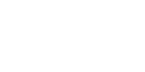 Gemini-2 — wheel-hd (WOR)