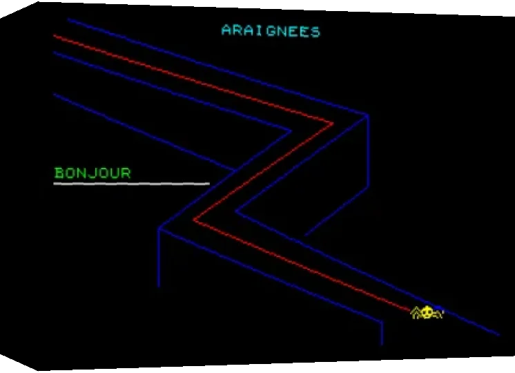 Araignées — box-3D (WOR)