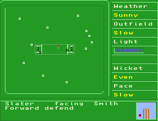 Test Match Cricket — ss (WOR)