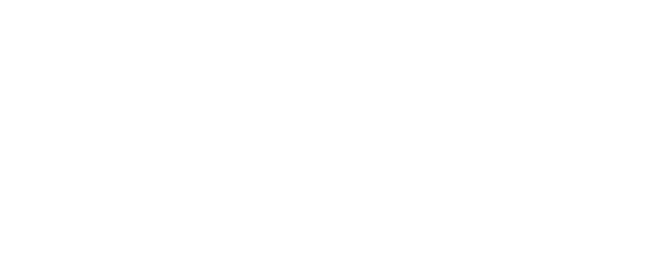 F1 2011 — wheel (WOR)
