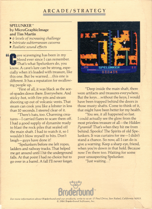 Spelunker — box-2D-back (US)