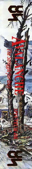 Avalanche — box-2D-side (WOR)