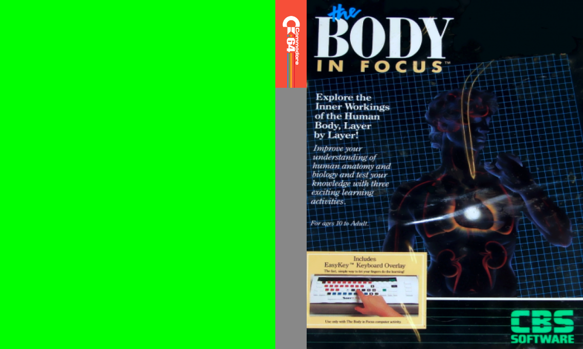 The Body In Focus — box-texture (EU)