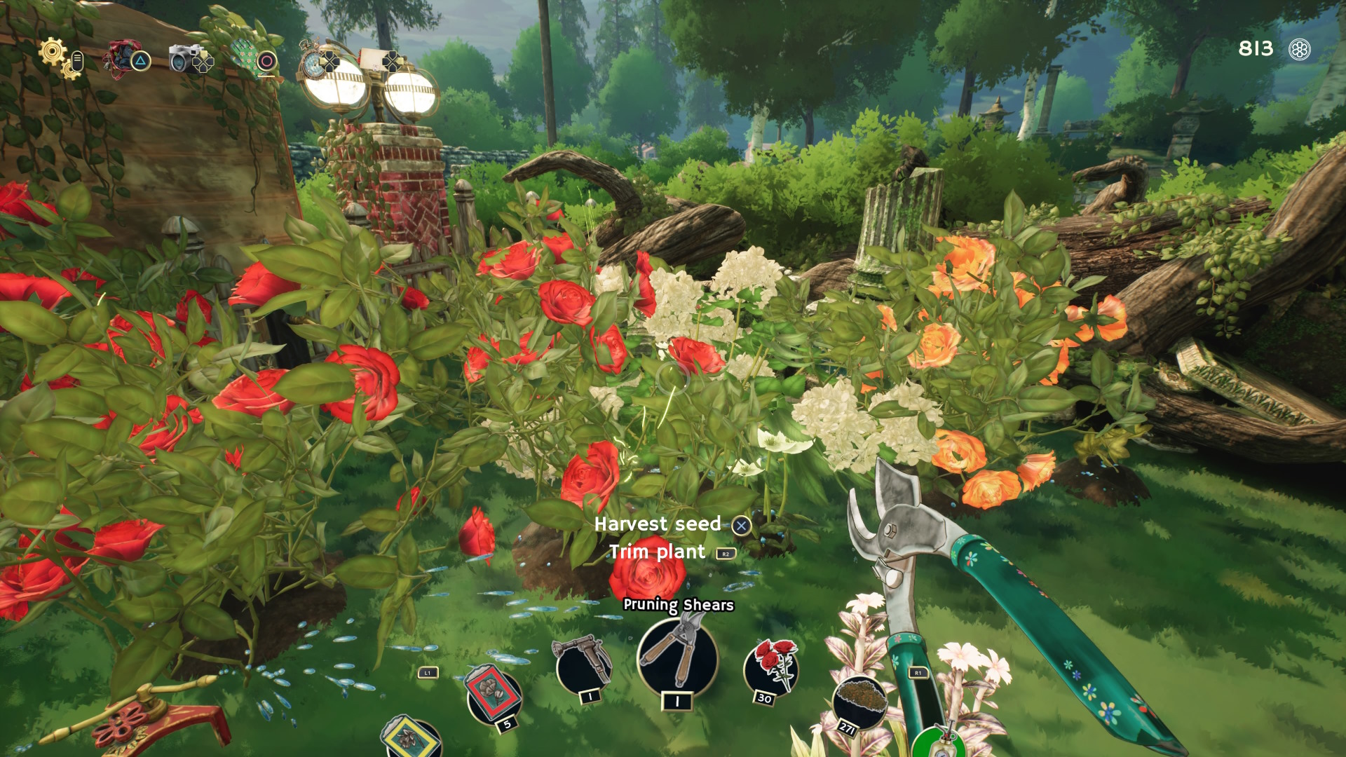 Garden Life — ss (WOR)