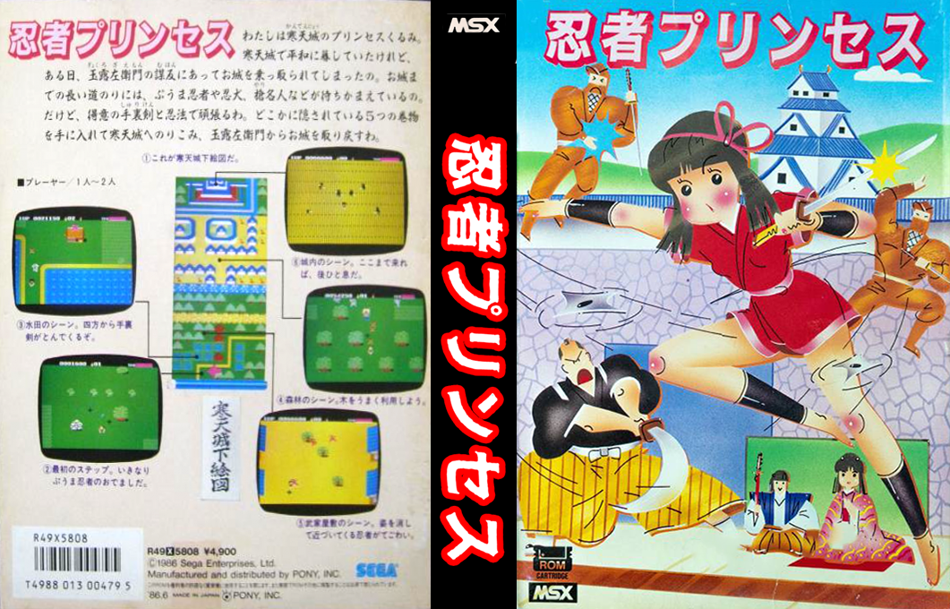 Ninja Princess — box-texture (JP)