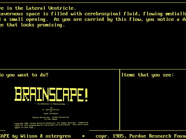 Brainscape — mixrbv2 (WOR)