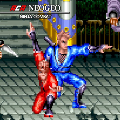 Aca Neogeo Ninja Combat — support-texture (CUS)