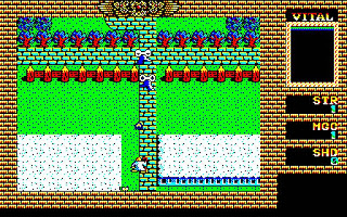 King's Knight — ss (WOR)