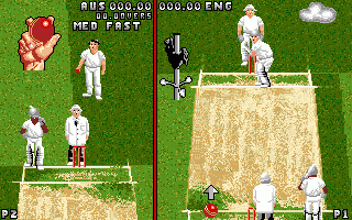 Ian Botham's Cricket — ss (WOR)