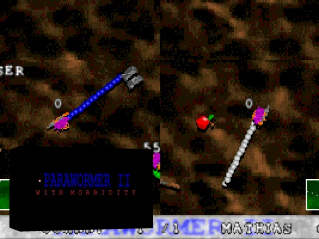 Parawormer II — mixrbv2 (WOR)