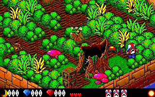 Voodoo Nightmare — ss (WOR)