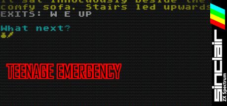 Teenage Emergency — steamgrid