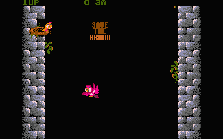 Fly Robin Fly — ss (WOR)
