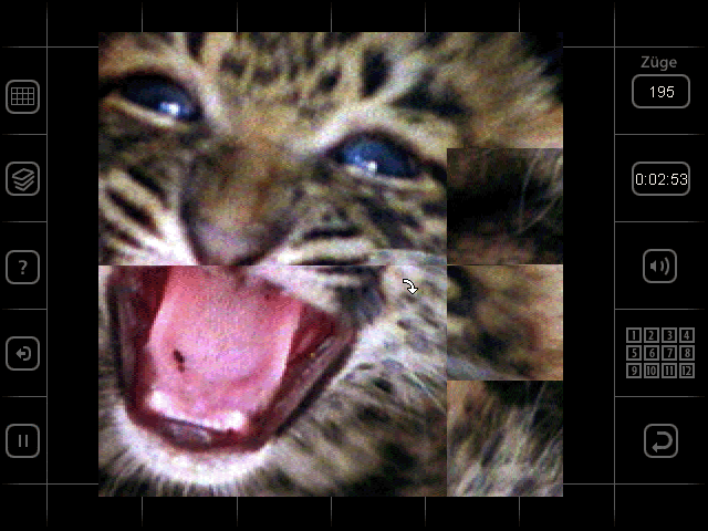 Moving Puzzle: Cats — ss (WOR)