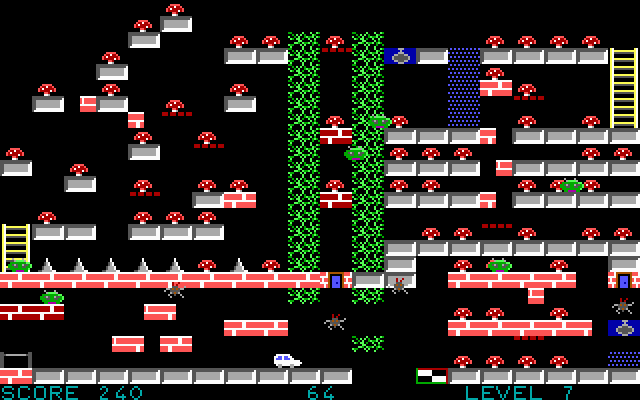 Magic Maycabs — ss (WOR)