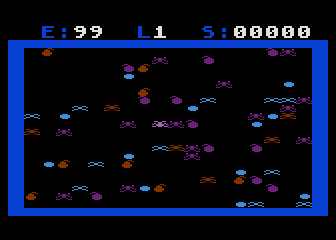 Arachnid — ss (WOR)