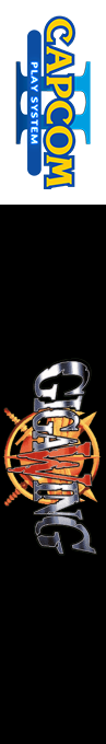 Giga Wing — box-2D-side (US)