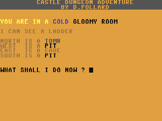 Castle Dungeon Adventure — ss (WOR)