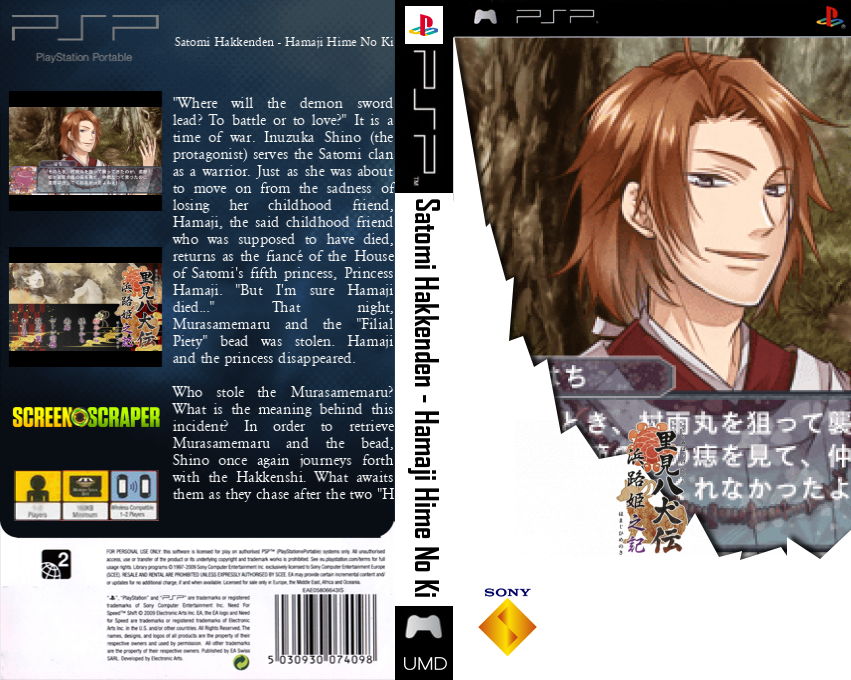 Satomi Hakkenden - Hamaji Hime no Ki — box-texture (SS)