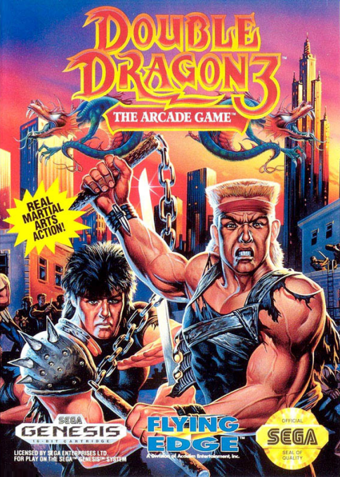 Double Dragon 3 - The Arcade Game box art