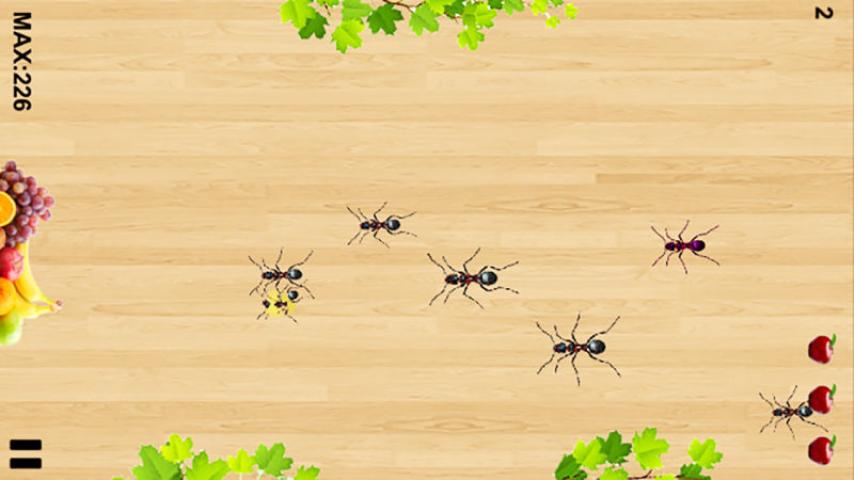 Crush Insects — ss (US)