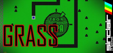 Grass — steamgrid