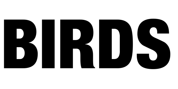 Birds — wheel-hd (SS)