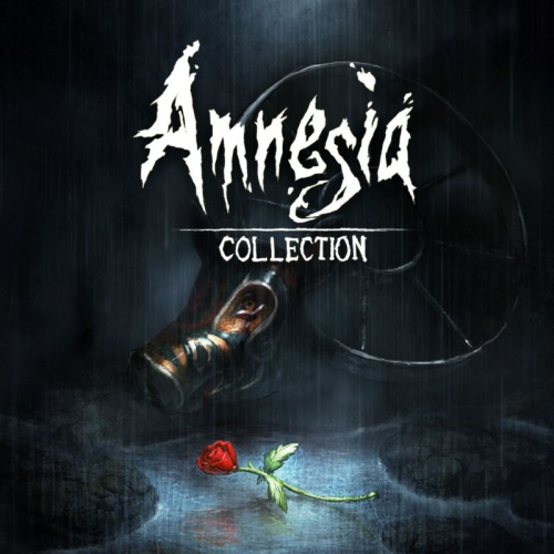 Amnesia Collection — support-texture (CUS)
