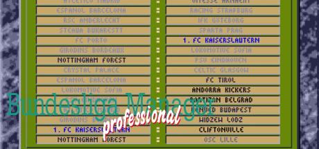 Bundesliga Manager Professional — steamgrid