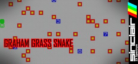 Graham Grass Snake — steamgrid