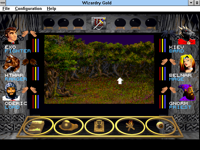 Wizardry Gold — ss (WOR)
