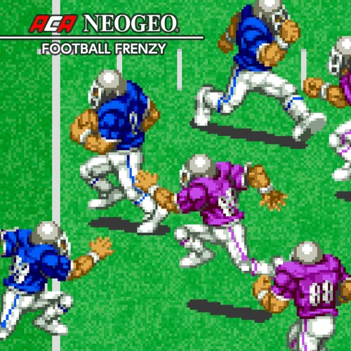 Aca Neogeo Football Frenzy — support-texture (CUS)