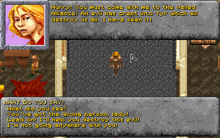 Dark Sun II: Wake of the Ravager — ss (WOR)