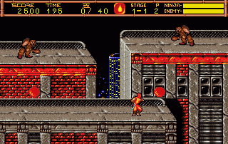 Ninja Gaiden 2 - The Dark Sword Of Chaos — ss (WOR)
