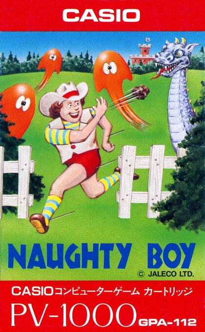Naughty Boy box art