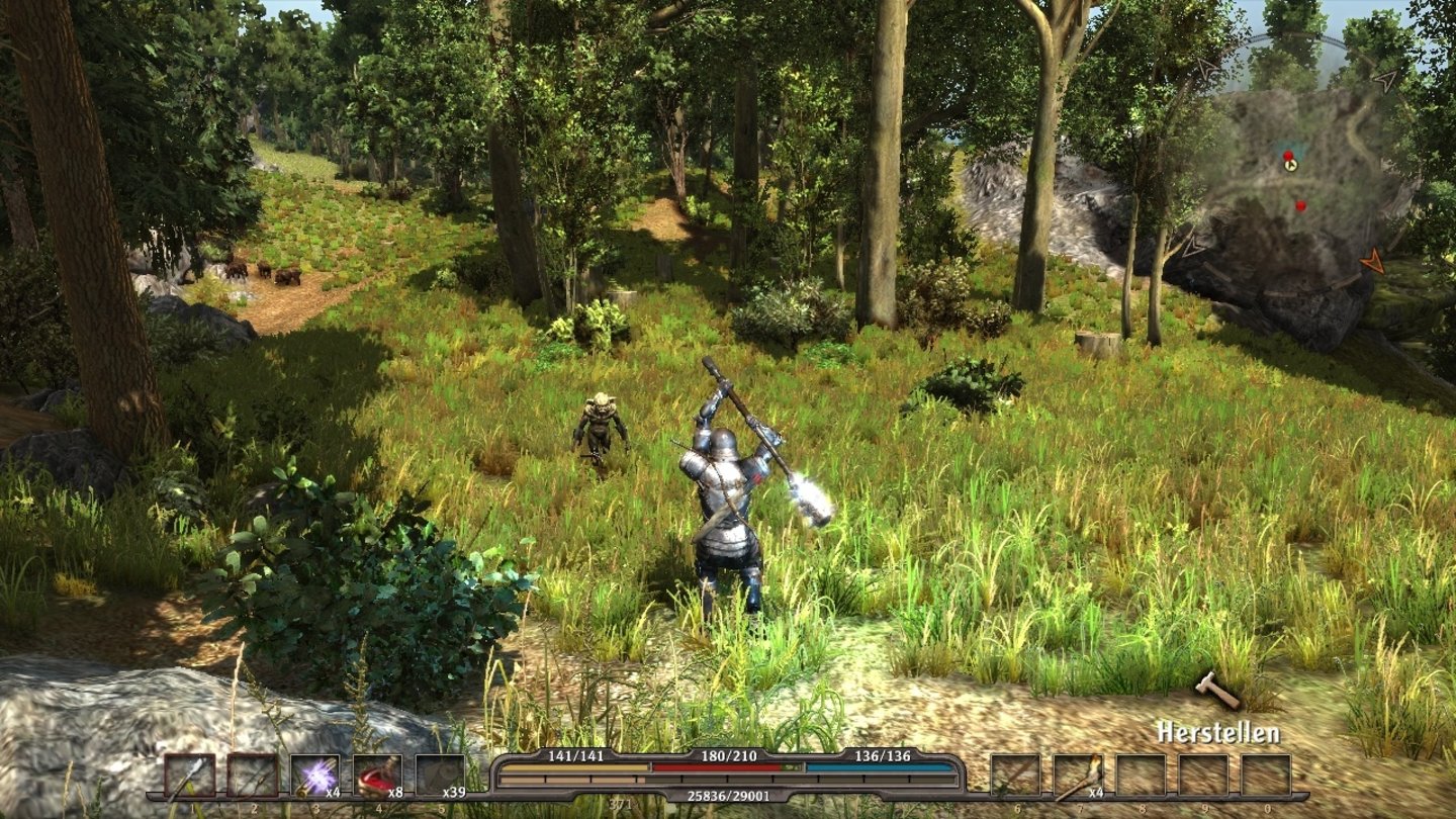 Gothic 4 - Arcania — ss (DE)