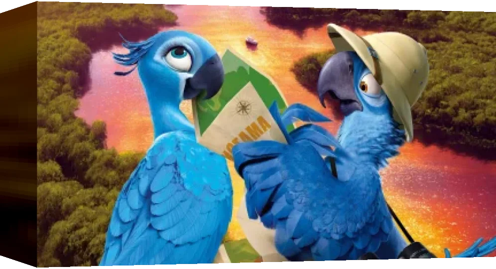 Rio — box-3D (WOR)