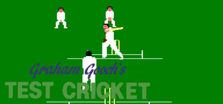 Graham Gooch's Test Cricket — steamgrid