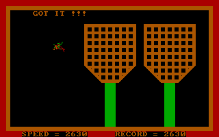 Fly — ss (WOR)