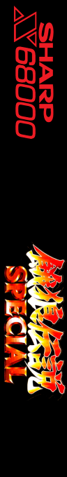 Garou Densetsu Special — box-2D-side (SS)