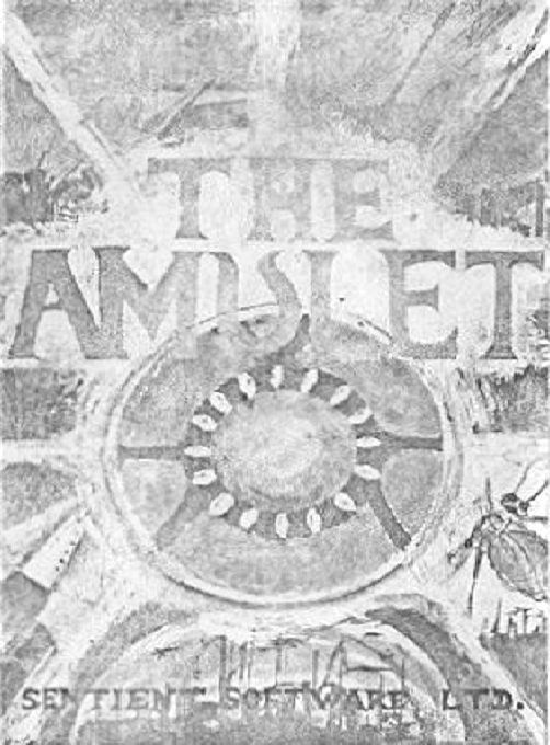 The Amulet box art