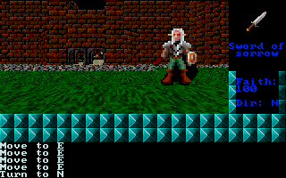Dungeons of Noudar 3D — ss (WOR)