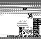 Tough Guy — ss (WOR)