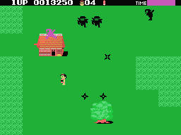 Ninja Princess — ss (WOR)