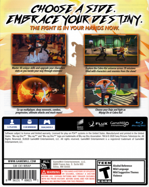 Cobra Kai - The Karate Kid Saga Continues — box-2D-back (US)