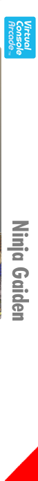 Ninja Gaiden — box-2D-side (FR)