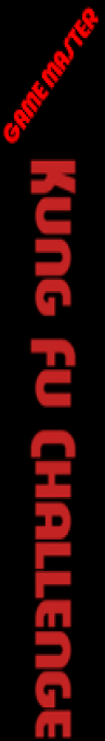 Kung Fu Challenge — box-2D-side (DE)